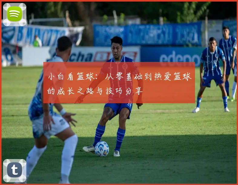 小白看篮球：从零基础到热爱篮球的成长之路与技巧分享