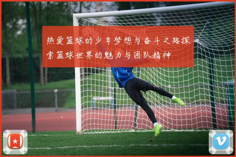 热爱篮球的少年梦想与奋斗之路探索篮球世界的魅力与团队精神