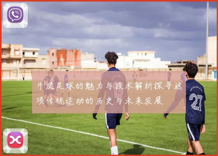 牛皮足球的魅力与技术解析探寻这项传统运动的历史与未来发展