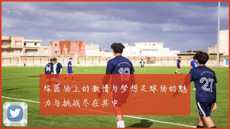 绿茵场上的激情与梦想足球场的魅力与挑战尽在其中